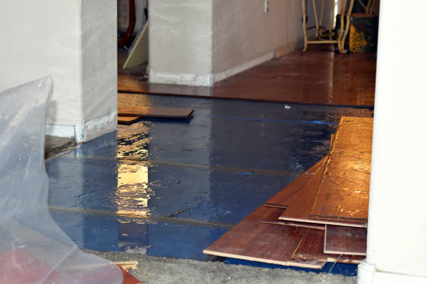 Professional Burst Pipe Cleanup technician working in California Hot Springs, CA