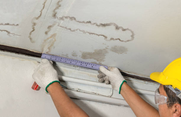 Reliable Burst Pipe Cleanup contractor in California Hot Springs, CA by Water Damage Irwin